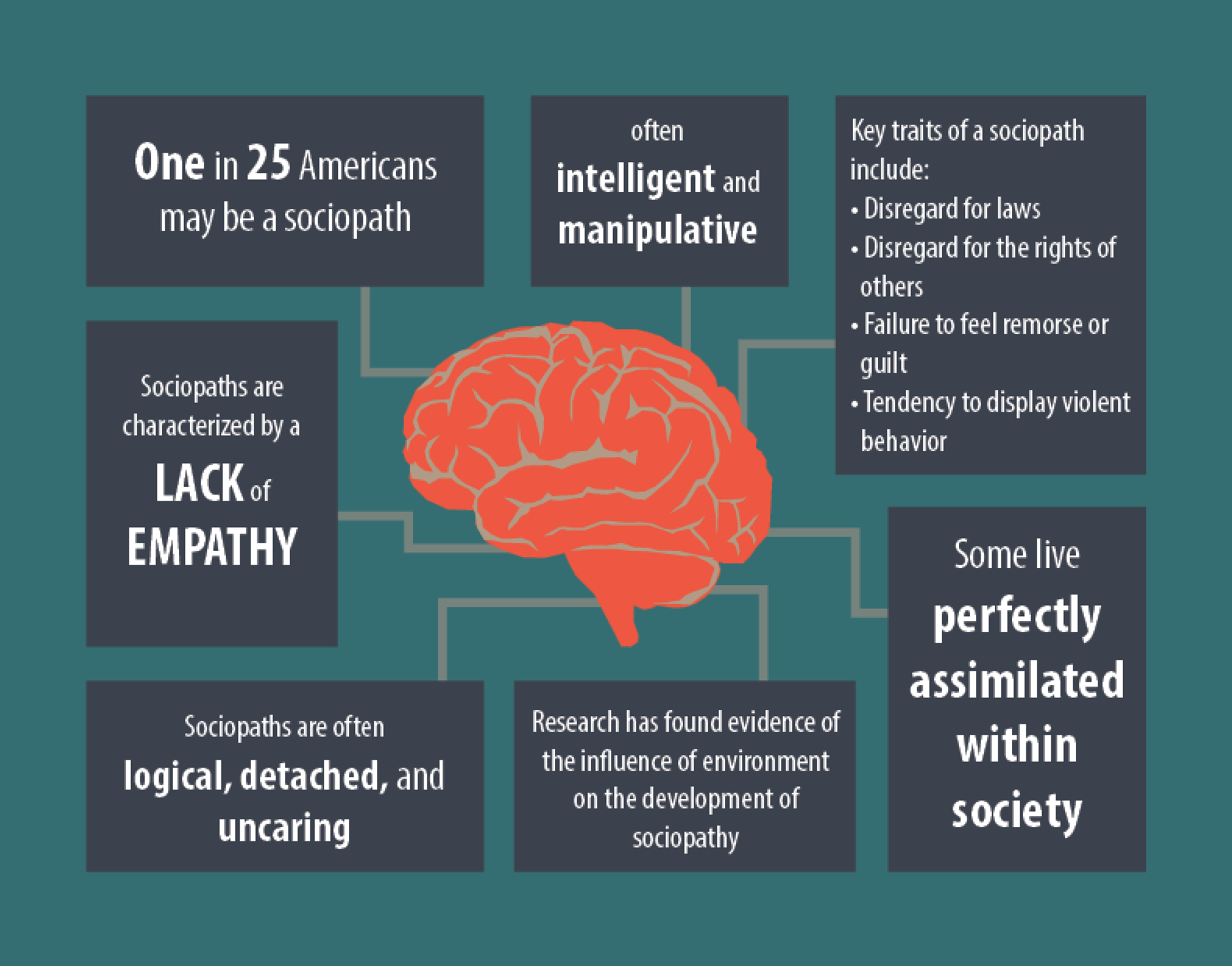 graphic1