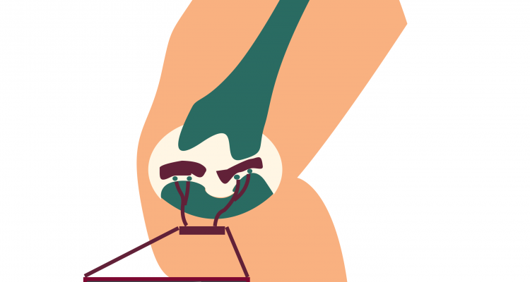 knee