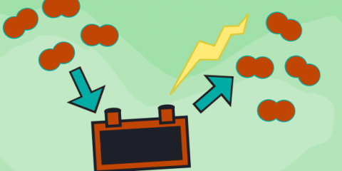 mcintosh - feature