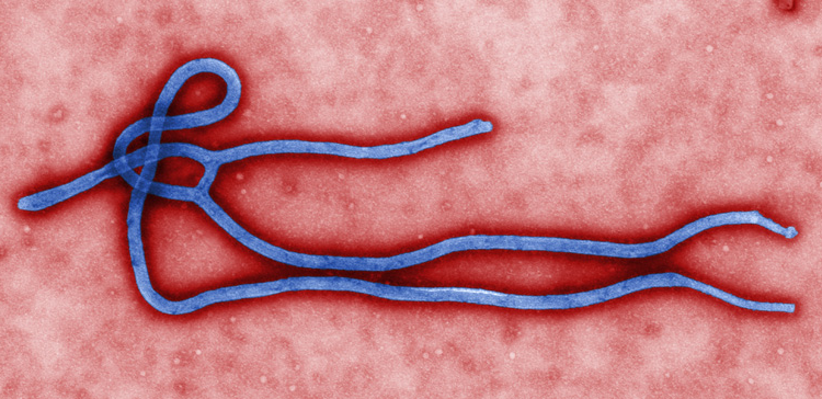 Russell - Ebola and Gov.