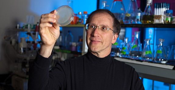 Professor Michael Hecht