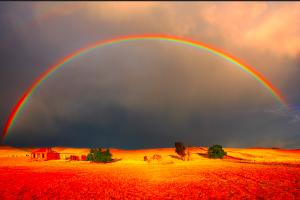 Metzger-rainbow