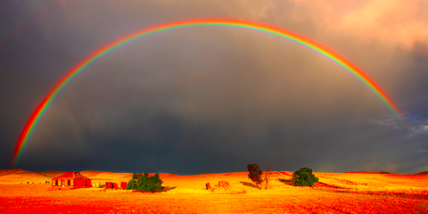 Metzger-rainbow