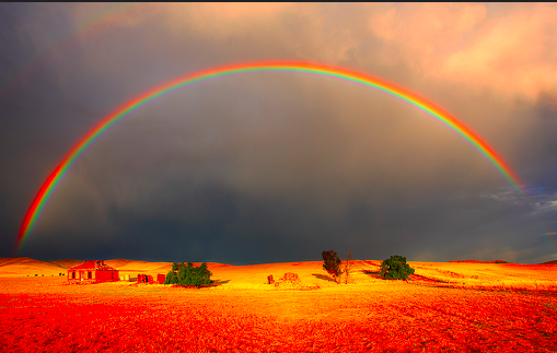 Metzger-rainbow