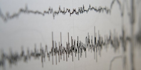 Metzger - Polygraph