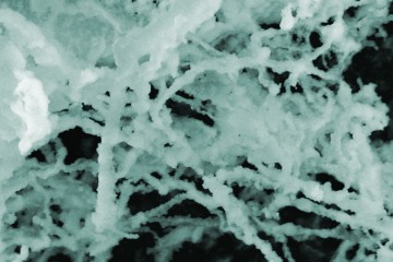 5941039768_9963f93fc1_o