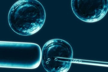 Chokshi Stem Cell