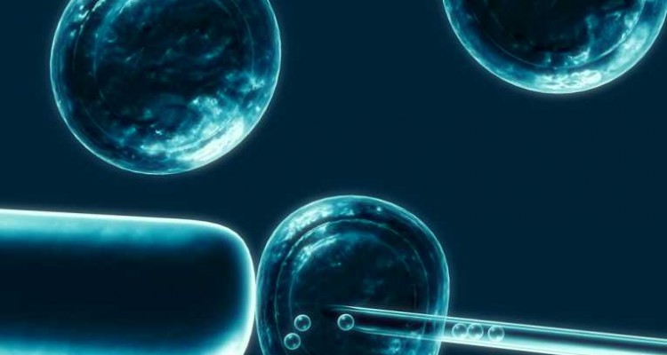 Chokshi Stem Cell