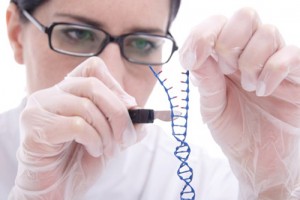 Song Gene Editing