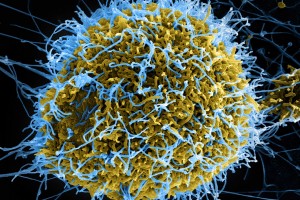 virus_small