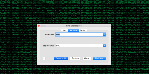 Recoding the Genome
