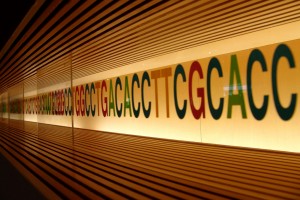 DNA
