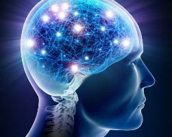 Shiyi Neural Plasticity