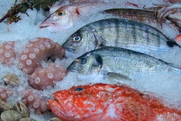 fresh catch