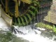 mill-831111_1280
