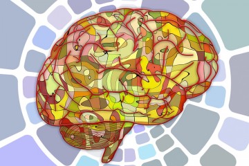 brain_food