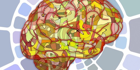 brain_food