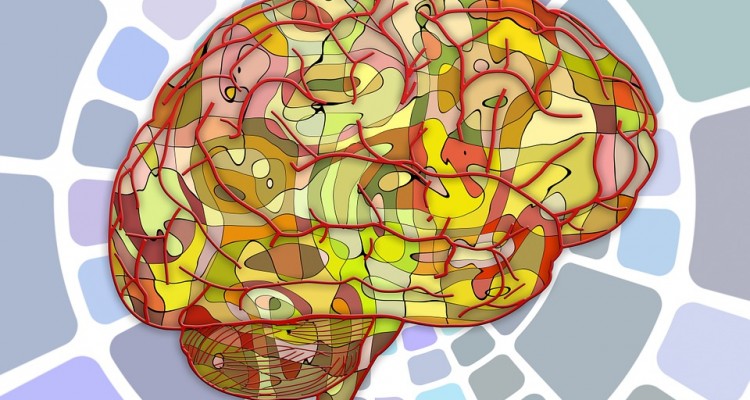 brain_food