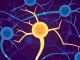 neuron_1
