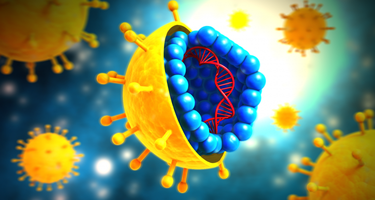 The hepatitis C virus. Courtesy of the CDC.