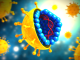 The hepatitis C virus. Courtesy of the CDC.