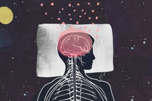 Illustration by: Katherine Streeter for NPR