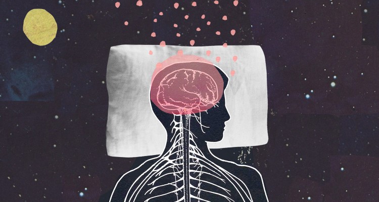 Illustration by: Katherine Streeter for NPR